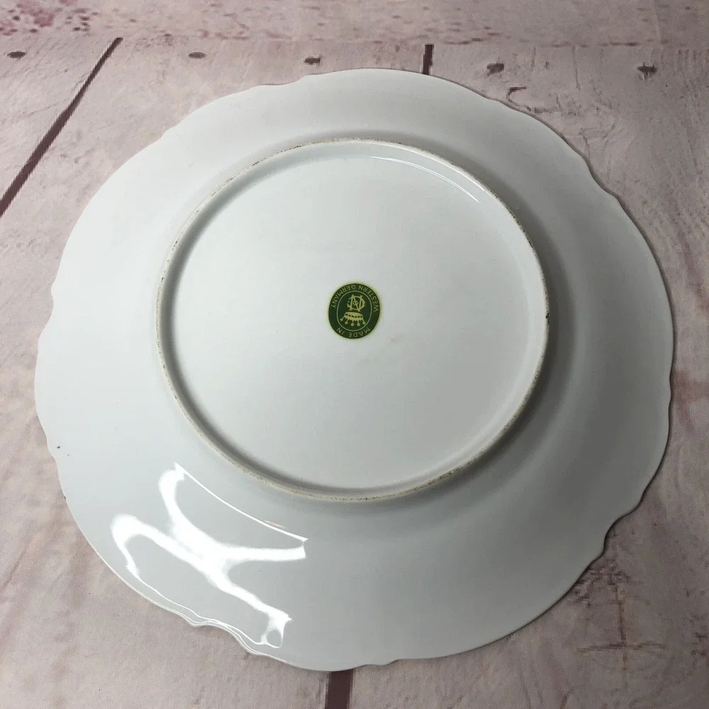 Vintage Niagara Falls NY Prospect Point Souvenir Plate Western‎ Germany 10